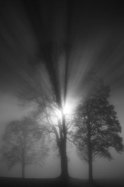 Portfolio Fotografi Naratif: Teknik Curation over Quantity untuk Memikat Klien