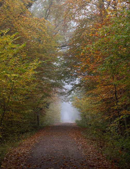 Portfolio Fotografi Komersial: Cara Kurasi Foto yang Menonjolkan Brand Identity Klien